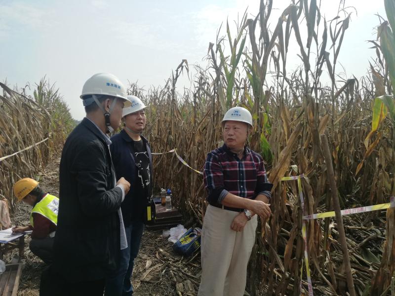 d37984.jpg d37984.jpg